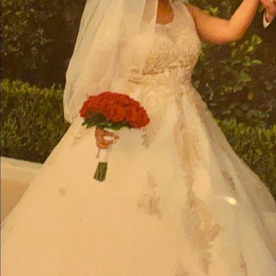 Wedding Dress Just Like Brand New 63 Inches Long